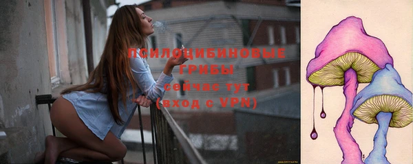 ПСИЛОЦИБИНОВЫЕ ГРИБЫ Абаза