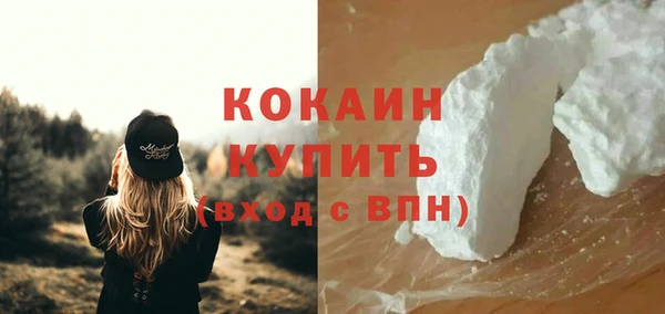 ПСИЛОЦИБИНОВЫЕ ГРИБЫ Абаза
