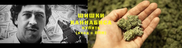 ПСИЛОЦИБИНОВЫЕ ГРИБЫ Абаза
