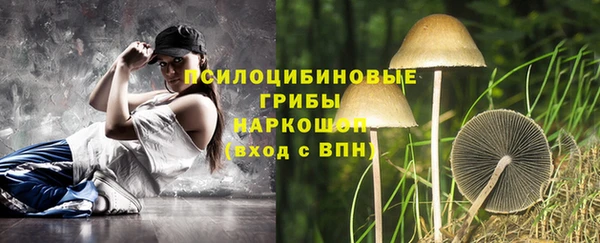 крисы Абдулино