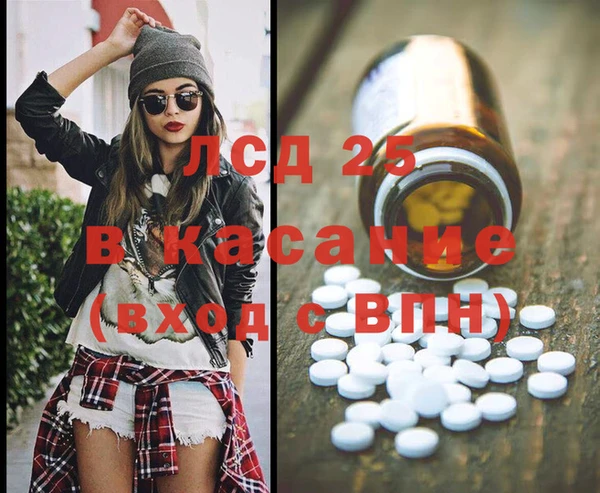 ПСИЛОЦИБИНОВЫЕ ГРИБЫ Абаза