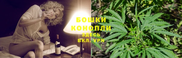 ПСИЛОЦИБИНОВЫЕ ГРИБЫ Абаза